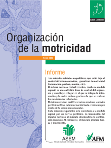 Organización de la Motricidad Doc ASEM traducido