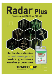 Herbicida sistémico de post-emergencia contra gramíneas anuales