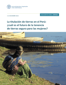 La titulación de tierras en el Perú: ¿cuál es el futuro de la tenencia