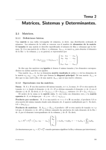 Matrices, Sistemas y Determinantes.