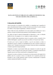 COLOCACIÓN LADRILLOS CARA VISTA (1)