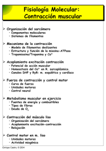 Fisiología Molecular: Contracción muscular