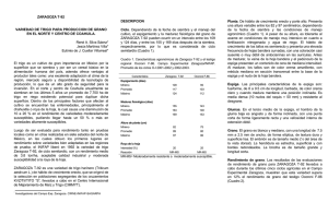 ZARAGOZA T-92 VARIEDAD DE TRIGO PARA PRODUCCION DE