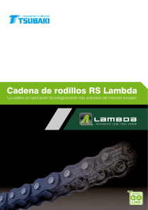 Cadena de rodillos RS Lambda