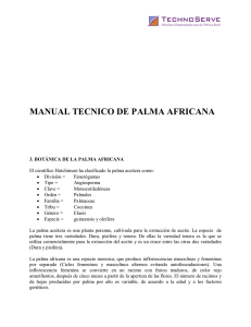 manual tecnico de palma africana