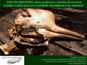 USO DE DELFINES (Inia geoffrensis, Sotalia fluviatilis) COMO