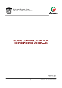 manual de organizacion para coordinaciones municipales
