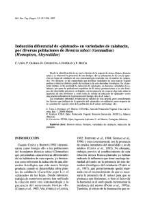 Inducción diferencial de «plateado» en variedades de calabacín
