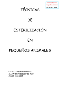 TÉCNICAS DE ESTERILIZACIÓN EN PEQUEÑOS ANIMALES