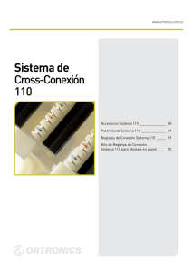 Sistema de Cross-Conexión 110