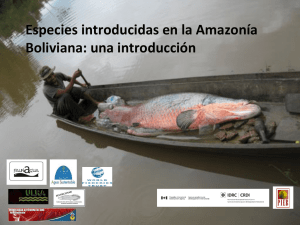 Especies introducidas en la Amazonía Boliviana: una introducción