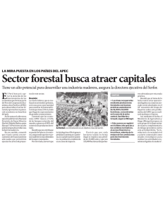 Sector forestal busca atraer capitales