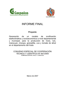 informe final - Gobernación del Huila