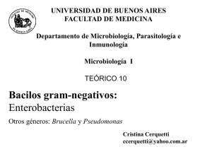 Bacilos gram-negativos: Enterobacterias