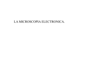 la microscopia electronica.