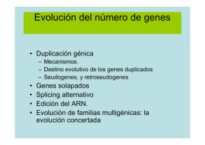 Evolución del número de genes