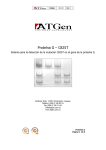 Proteína G – C825T - ATGen Diagnostica