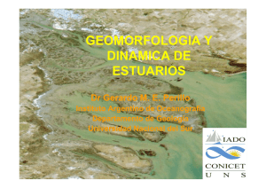 geomorfologia y dinamica de estuarios