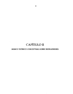 658.402-M973p-CAPITULO II