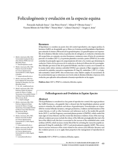 Foliculogénesis y ovulación en la especie equina