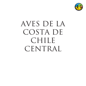 AVES DE LA COSTA DE CHILE CENTRAL