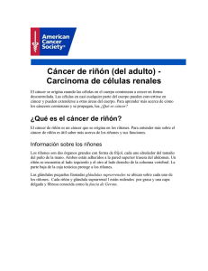 Cáncer de riñón (del adulto) - Carcinoma de células renales