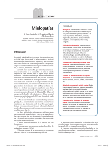 Mielopatías - Elsevier Instituciones