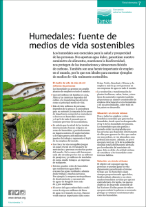 Humedales: fuente de medios de vida sostenibles
