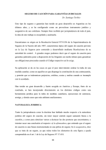 88 SEGURO DE CAUCIÓN PARA GARANTÍAS JUDICIALES Dr
