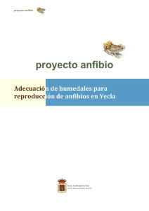 proyecto anfibio - Ayuntamiento de Yecla