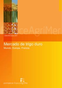 Mercado de trigo duro