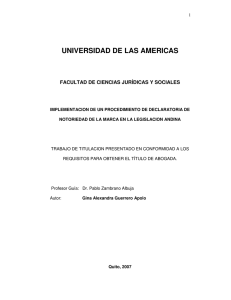 UNIVERSIDAD DE LAS AMERICAS