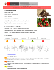 cartilla n ° 07 condiciones agroclimaticas del cultivo del cafeto 2