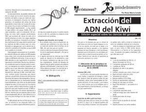 Extracción del ADN del Kiwi - Cómo ves?