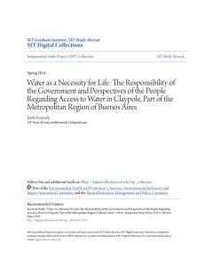 Water as a Necessity for Life: The Responsibility of the Government