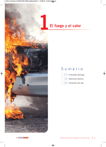 Monografía Investigación de Incendios en Vehículos- Extracto