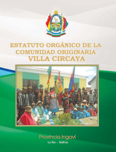 Estatuto Orgánico de la Comunidad Originaria Villa Circaya