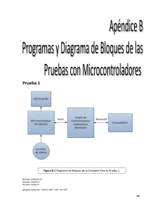 Programas y Diagramas de Bloques de las Pruebas con