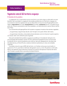 Vegetación natural del territorio uruguayo