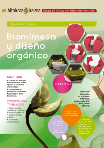 Biomímesis y diseño orgánico