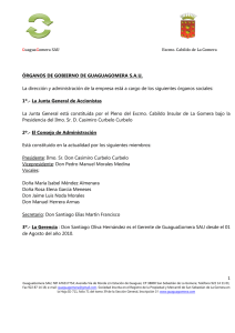 Organos de Gobierno de GuaguaGomera SAU