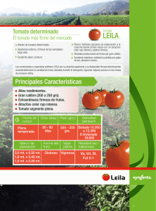 Volante tomate Leila