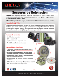 Sensores de Detonación - Wells Vehicle Electronics