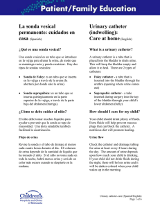 La sonda vesical permanente: cuidados en Urinary catheter