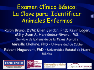 Examen Clínico Básico: La Clave para Identificar Animales Enfermos