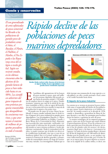Rápido declive de las poblaciones de peces marinos depredadores