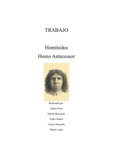 TRABAJO Homínidos Homo Antecessor