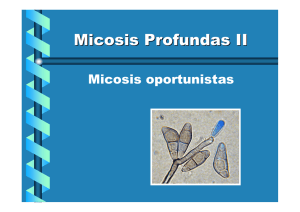 Micosis Profundas II