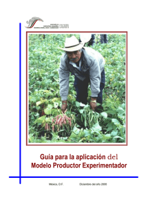 Modelo Productor Experimentador