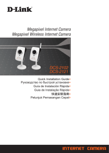 Megapixel Internet Camera Megapixel Wireless Internet - D-Link